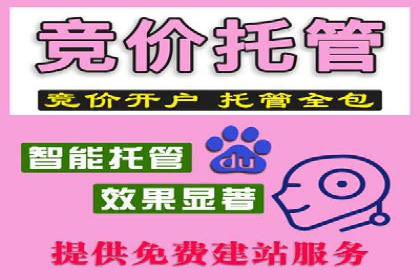竞价托管服务案例解析